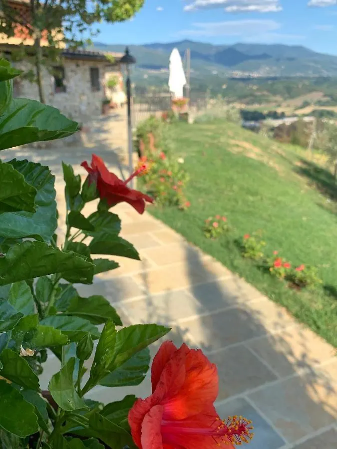 La Casa Dell' Ambra - Charming Old Barn Guest House Rignano Sull Arno